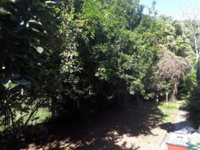 La casa di Mango e Pistacchio